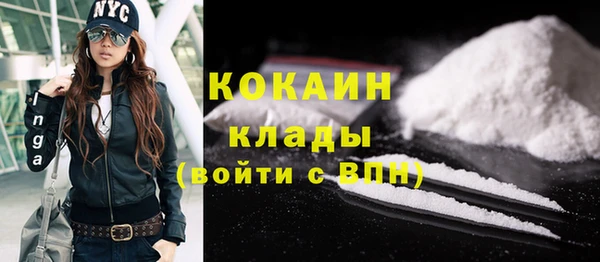 мет Новозыбков