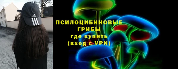 мет Новозыбков